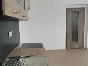Pronájem bytu 1+kk, Chotěšov, Ořechová, 38 m2