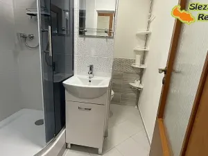 Pronájem bytu 1+1, Ostrava, Písečná, 35 m2