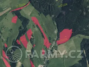 Prodej louky, Meziměstí, 696000 m2