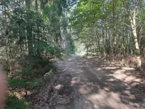 Prodej pozemku, Mirotice, 5629 m2