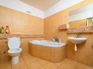 Prodej restaurace, Tábor, Lužnické údolí, 694 m2