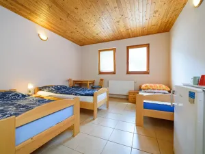 Prodej restaurace, Tábor, Lužnické údolí, 694 m2