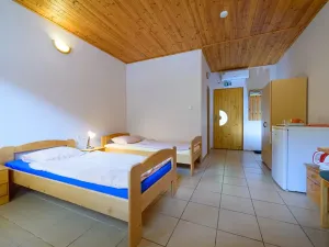 Prodej restaurace, Tábor, Lužnické údolí, 694 m2