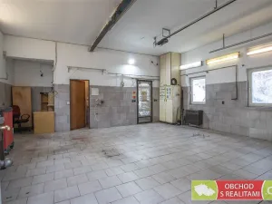 Pronájem výrobních prostor, Praha, Broumarská, 48 m2