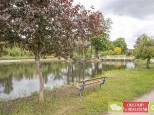 Prodej pozemku, Dírná, 2984 m2