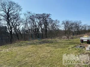 Prodej chaty, Velké Všelisy, 24 m2