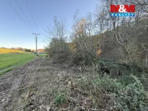 Prodej lesa, Velká Polom, 1901 m2