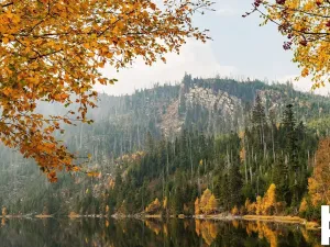 Prodej pozemku pro bydlení, Horní Planá, 843 m2