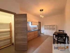 Pronájem bytu 1+1, Děčín, Hálkova, 44 m2