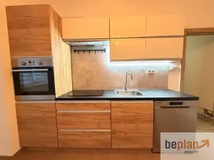 Pronájem bytu 1+1, Děčín, Hálkova, 44 m2