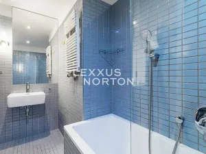 Pronájem bytu 2+kk, Praha - Žižkov, Prokopova, 58 m2