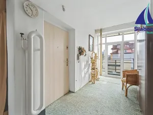 Prodej rodinného domu, Mladá Boleslav, Dvořákova, 240 m2