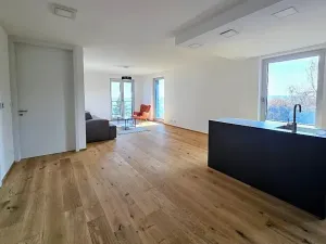 Prodej bytu 4+kk, Praha - Smíchov, U Dívčích hradů, 123 m2