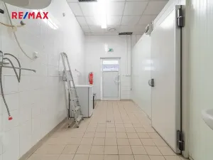 Pronájem obchodního prostoru, Plzeň, 181 m2