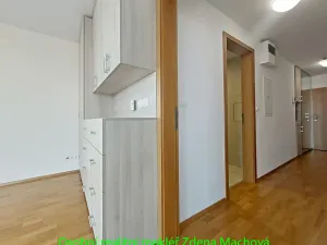 Pronájem bytu 1+kk, Praha - Žižkov, Ke kapslovně, 38 m2