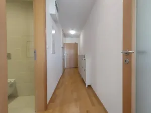 Pronájem bytu 1+kk, Praha - Žižkov, Ke kapslovně, 38 m2