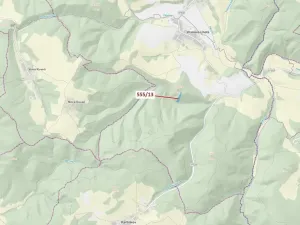 Dražba lesa, Vranová Lhota, 5798 m2