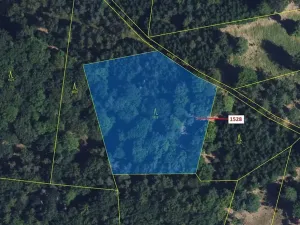 Dražba lesa, Vranová Lhota, 5323 m2
