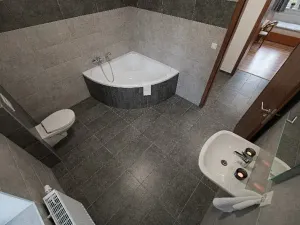 Pronájem apartmánu, Ostrava, Riegrova, 300 m2