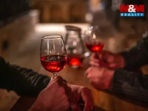 Prodej vinného sklepa, Chvalovice, 62 m2