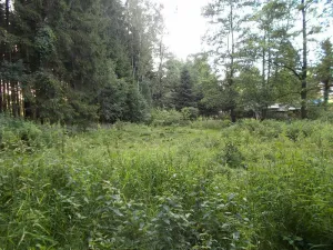 Prodej louky, Velký Šenov - Leopoldka, 3266 m2