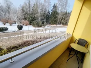 Prodej bytu 1+kk, Frymburk, 30 m2