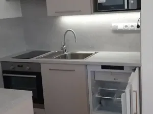 Pronájem bytu 1+kk, Břeclav, U Tržiště, 30 m2