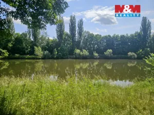 Prodej louky, Hradec Králové - Pražské Předměstí, 7544 m2