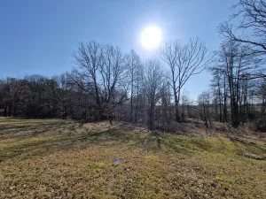 Prodej pozemku, Velká Polom, Okružní, 6038 m2