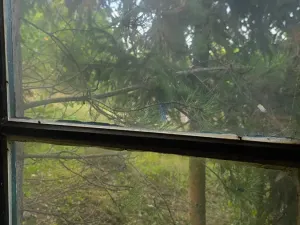 Prodej chaty, Brno, 24 m2