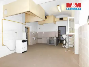 Pronájem restaurace, Kasejovice, 700 m2