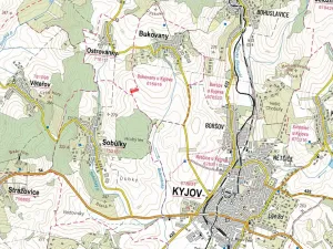 Prodej pole, Bukovany, 4230 m2