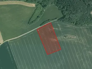 Prodej pole, Šípy, 11600 m2