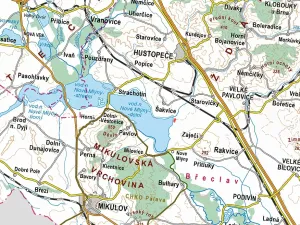 Prodej pole, Šakvice, 14834 m2