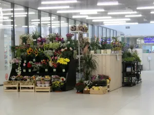 Pronájem bytu 2+kk, Praha - Stodůlky, Mukařovského, 43 m2