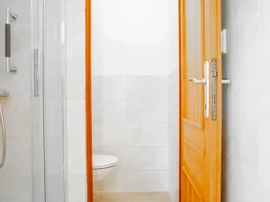 Prodej bytu 1+1, Plzeň - Bolevec, Tachovská, 39 m2