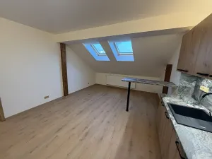 Pronájem bytu 3+1, Praha - Michle, Na líše, 136 m2