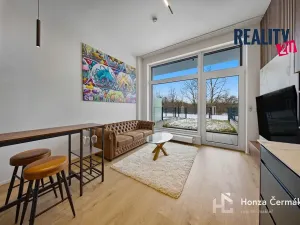 Pronájem bytu 1+kk, Brno, 42 m2