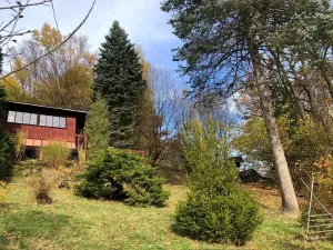 Prodej chaty, Hvozdná, 52 m2