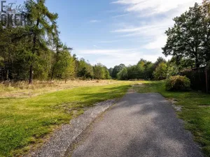 Prodej pozemku, Bezdědovice, 800 m2