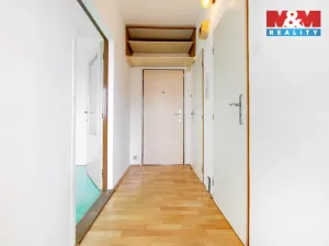 Prodej bytu 1+1, Plzeň - Jižní Předměstí, Čermákova, 43 m2