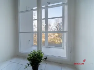 Pronájem bytu 1+kk, Hradec Králové, Dlouhá, 25 m2