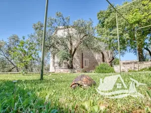 Prodej vily, Rijeka Reževići, Černá Hora, 400 m2