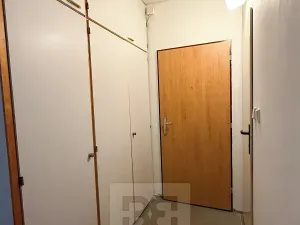 Pronájem bytu 2+1, Plzeň, Elišky Krásnohorské, 72 m2