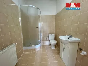 Prodej činžovního domu, Litvínov - Janov, Přátelství, 1000 m2