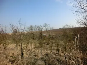 Prodej zahrady, Kunovice, 878 m2