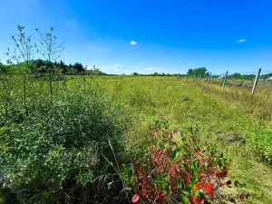 Prodej rodinného domu, Krabčice, 252 m2