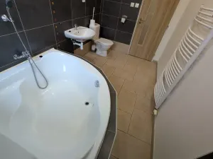 Pronájem bytu 1+kk, Peruc, U Koupaliště, 32 m2