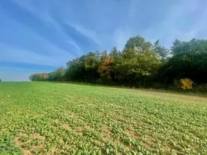 Prodej pole, Praha - Liboc, Na Padesátníku I, 24066 m2