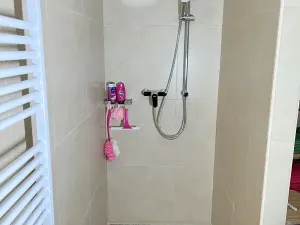 Pronájem rodinného domu, Starý Hrozenkov, 151 m2